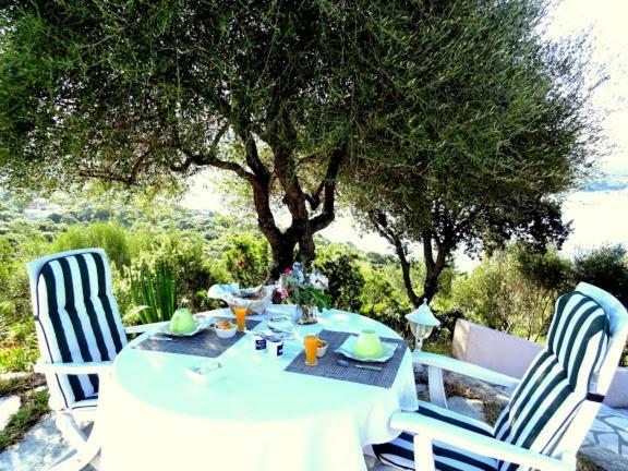 Villa Vetricella Corse Sud Olmeto  Exterior photo